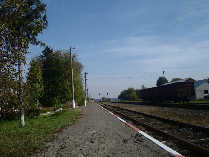 Лісоводи з panoramio.com - Лісоводи