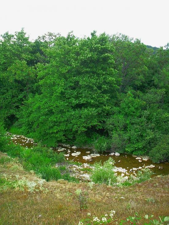 Аромат з panoramio.com - Аромат