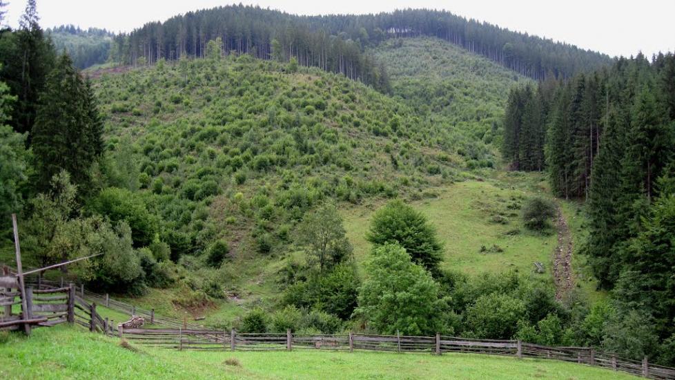 Усть-Путила з panoramio.com - Усть-Путила