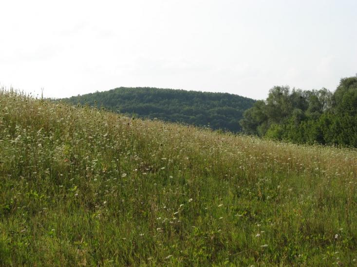 Северинівка з panoramio.com - Северинівка