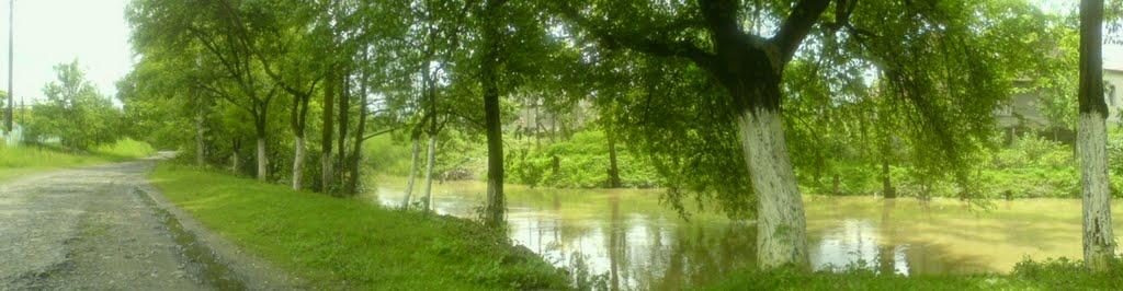 Ракошино з panoramio.com - Ракошино