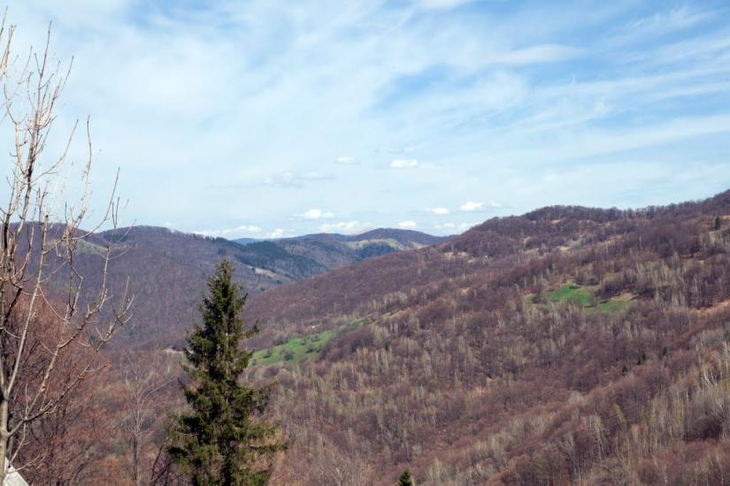 Косівська Поляна з panoramio.com - Косівська Поляна