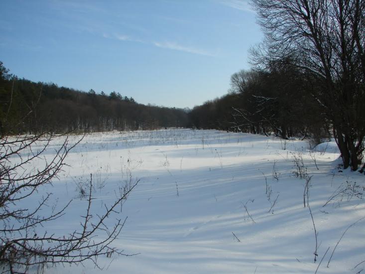 Мохначі з panoramio.com - Мохначі