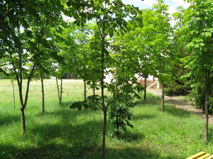 Хорли з panoramio.com - Хорлы