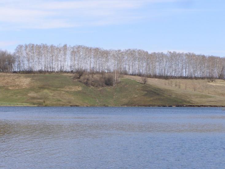 Підліснівка з panoramio.com - Подлесновка