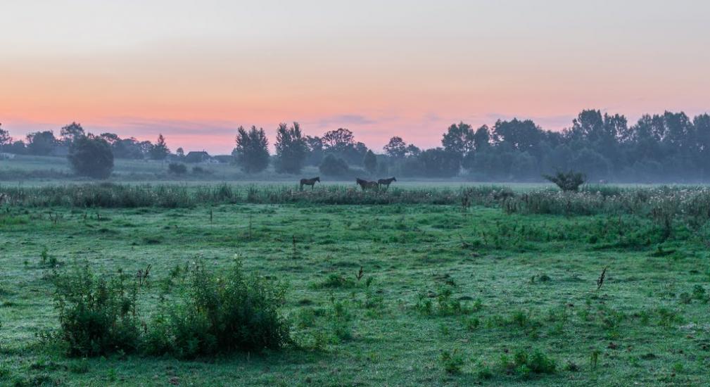 Юрівка з panoramio.com - Юрівка