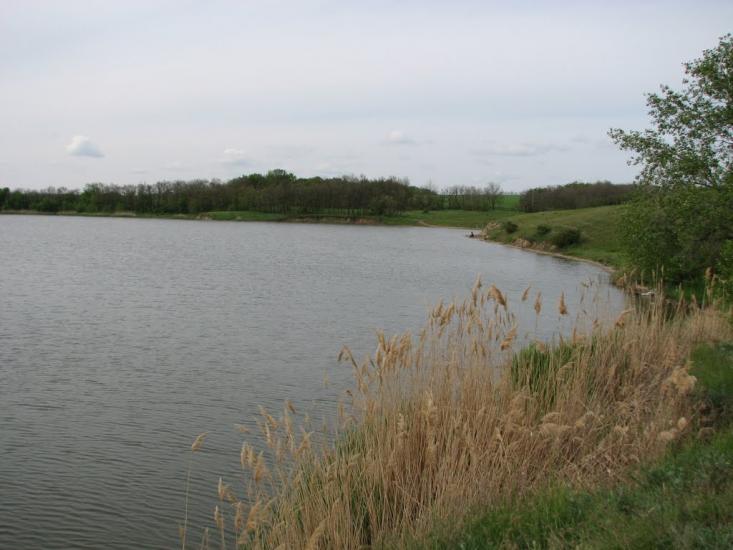 Новомлинівка з panoramio.com - Новомлинівка