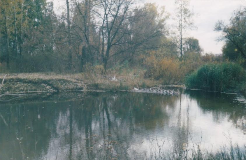 Липці з panoramio.com - Липці