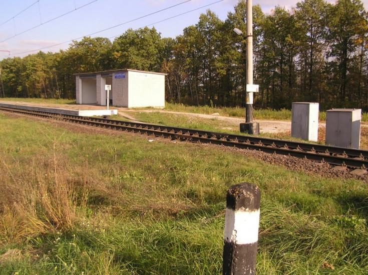 Бондарівка з panoramio.com - Бондарівка