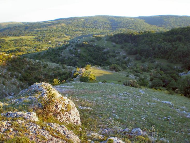 Пчолине з panoramio.com - Pcholyne