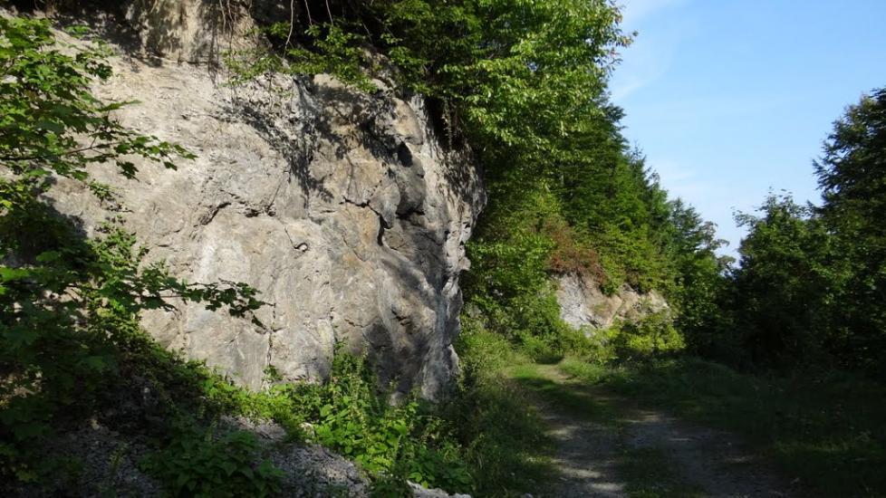 Луг з panoramio.com - Луг