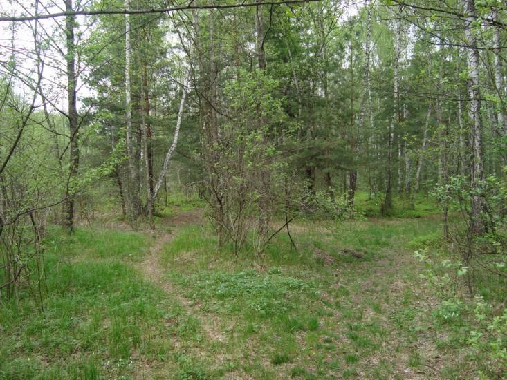 Климентовичі з panoramio.com - Климентовичи