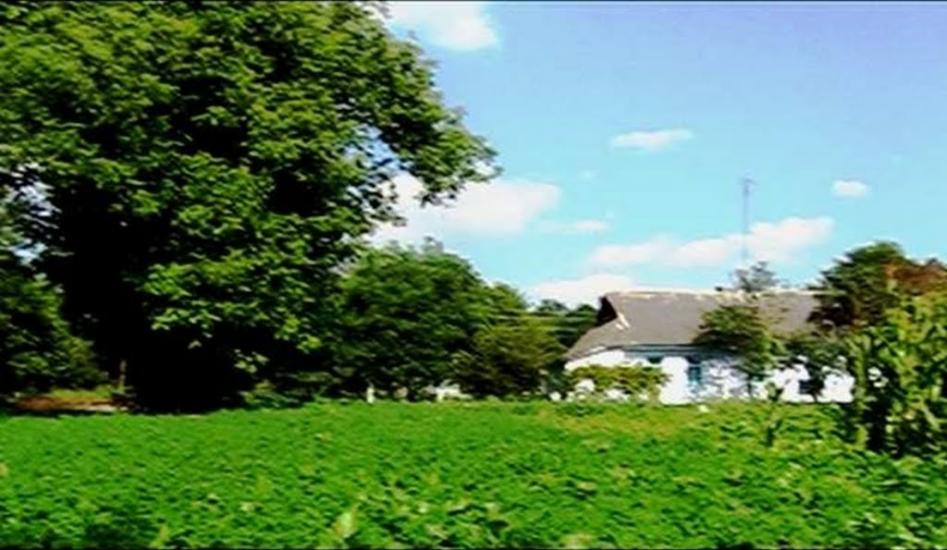 Конищів з panoramio.com - Конищів