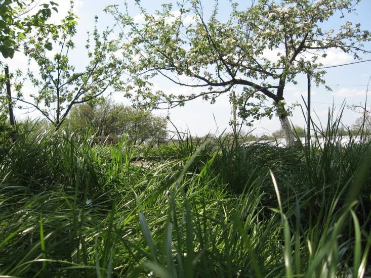 Богуслав з panoramio.com - Богуслав