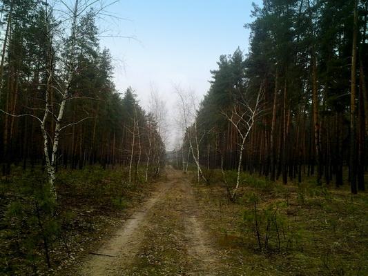 Ямпіль з panoramio.com - Ямполь