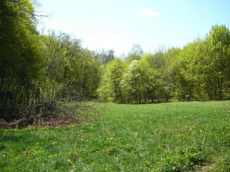 Кам'янка з panoramio.com - Каменка