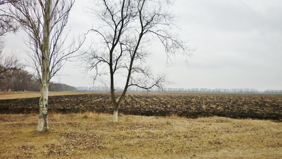 Братсько-Семенівка з panoramio.com - Братско-Семеновка