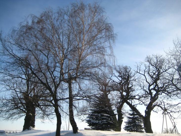 Підгірне з panoramio.com - Підгірне
