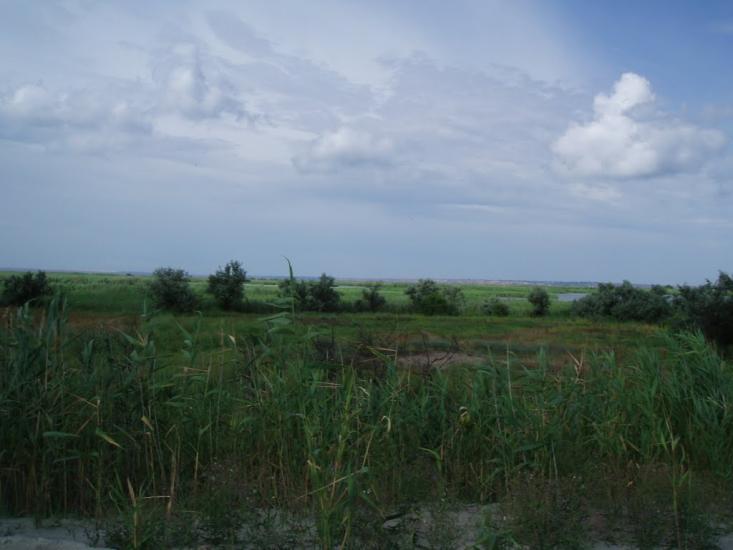 Виноградне з panoramio.com - Виноградне