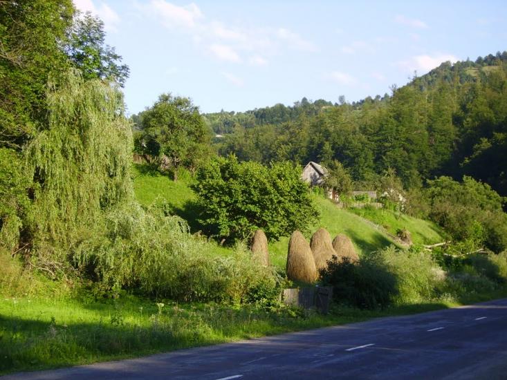 Луг з panoramio.com - Луг