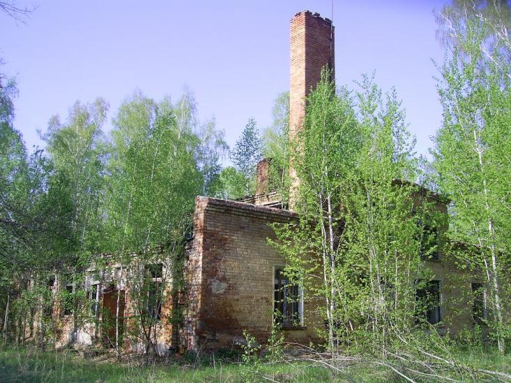 Шевченкове з panoramio.com - Шевченковое