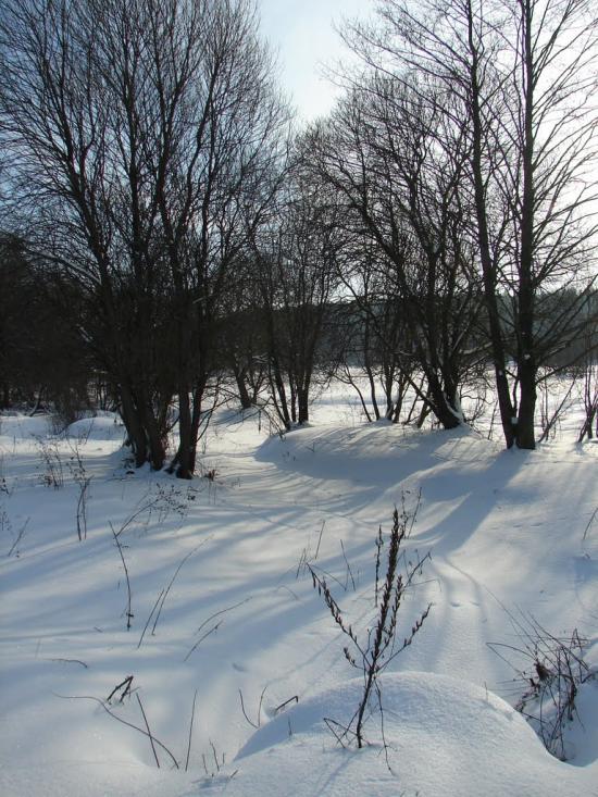Мохначі з panoramio.com - Мохначі
