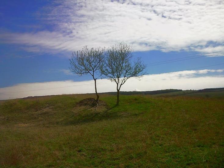 Приятне Свідання з panoramio.com - Приятне Свідання