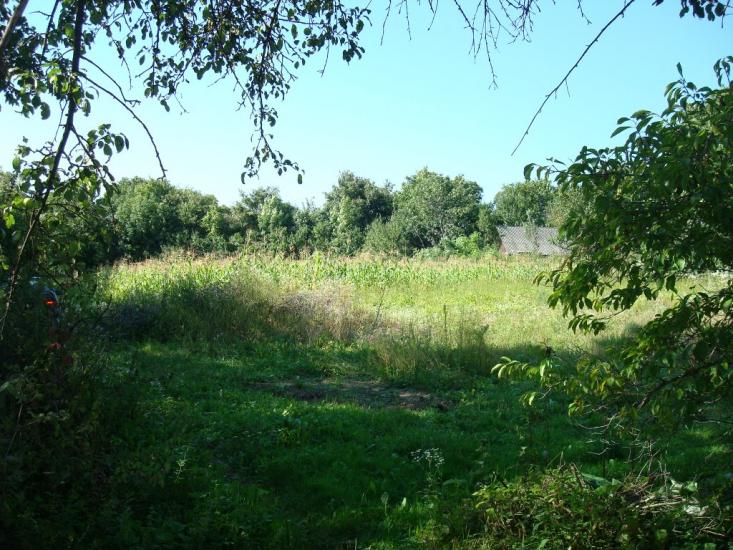 Вільховець з panoramio.com - Ольховец
