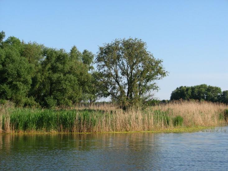 Ртищівка з panoramio.com - Ртищівка