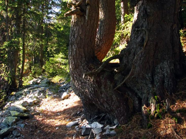 Осмолода з panoramio.com (ч.2) - Осмолода