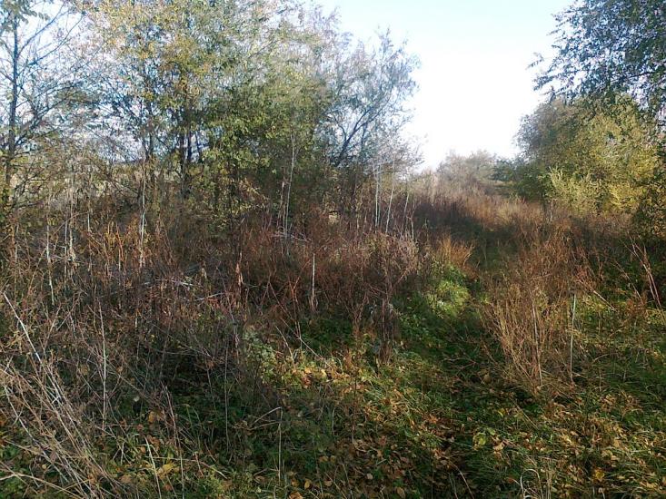 Кутузівка з panoramio.com - Кутузовка