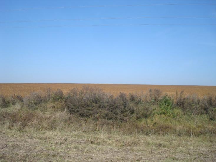 Дубівка з panoramio.com - Дубівка
