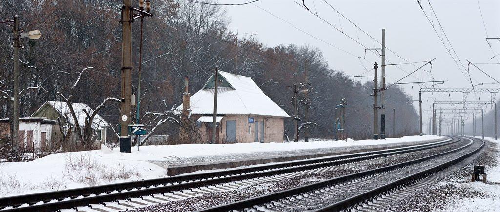 Триліси з panoramio.com - Триліси