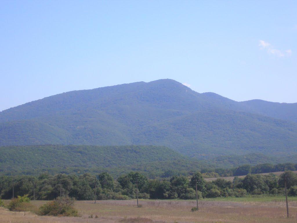 Горлинка з panoramio.com - Горлинка