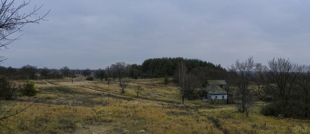 Надинівка з panoramio.com - Надинівка