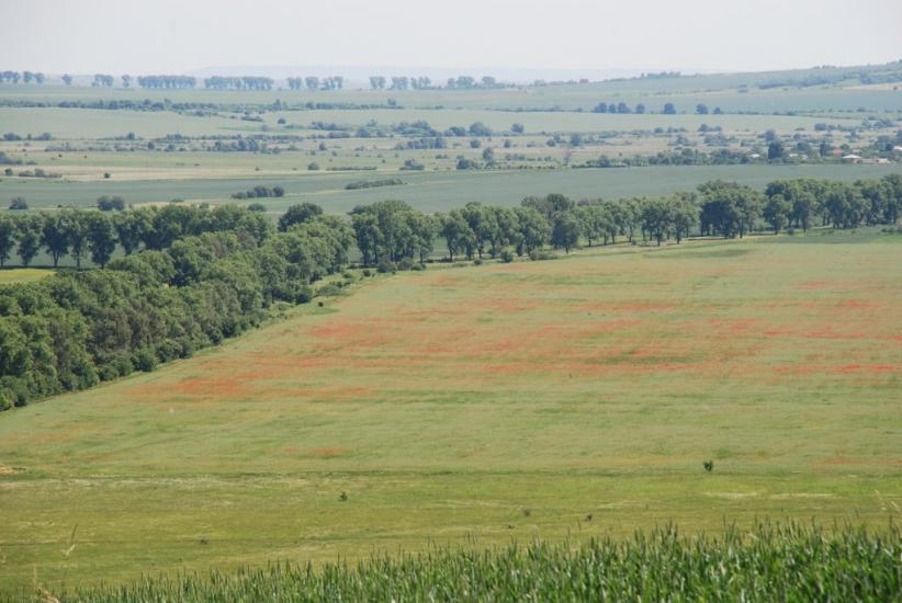 Відники з panoramio.com - Водники