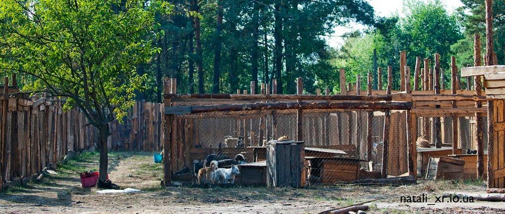 Толокунь з panoramio.com - Толокунь