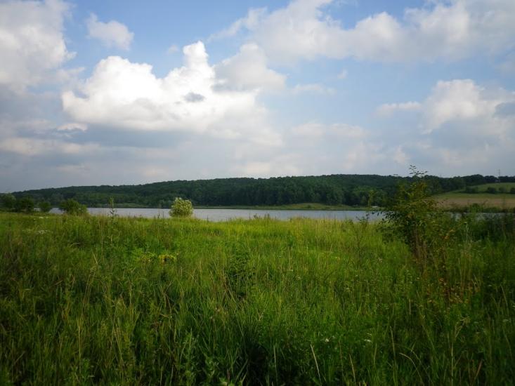 Северинівка з panoramio.com - Северинівка