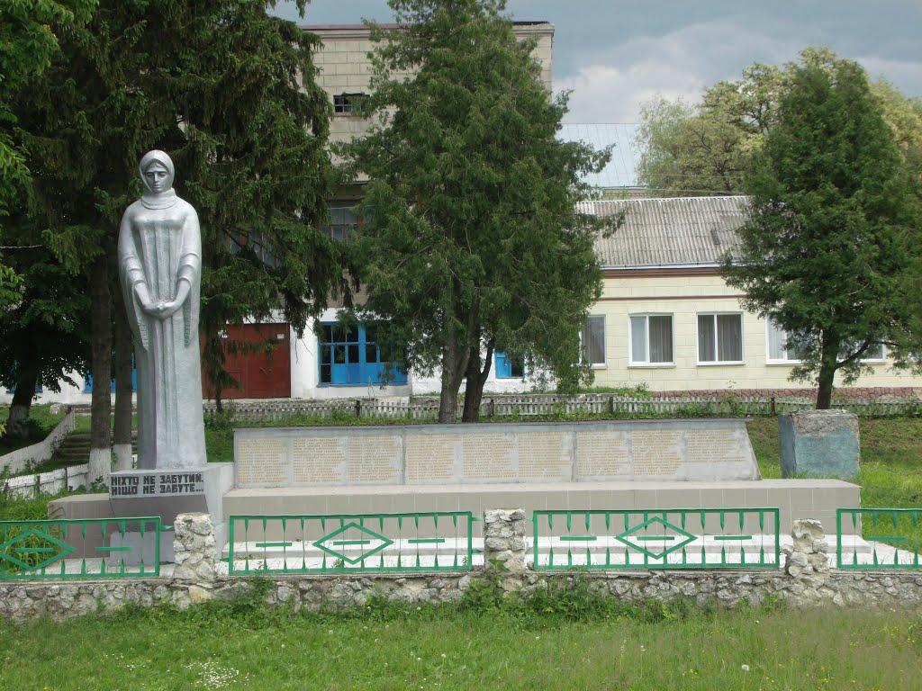 Тарноруда з panoramio.com - Tarnoruda