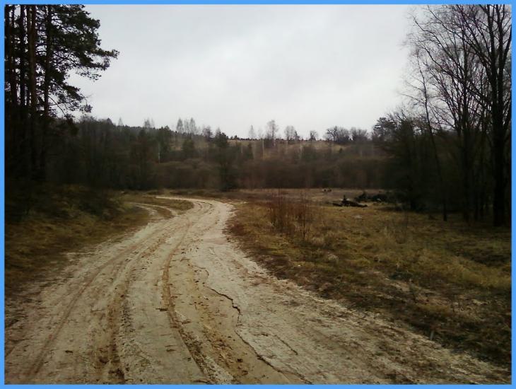 Мохначі з panoramio.com - Мохначі