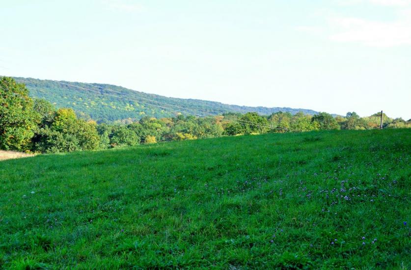 Молодія з panoramio.com - Молодія