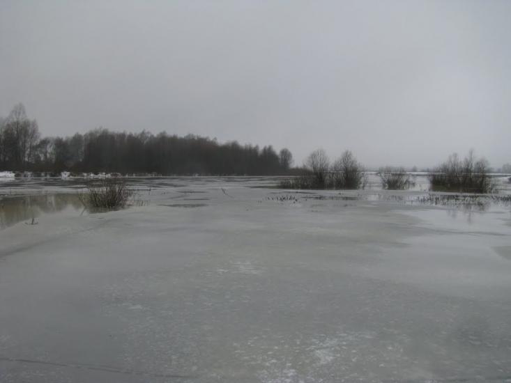 Миси з panoramio.com - Mysy