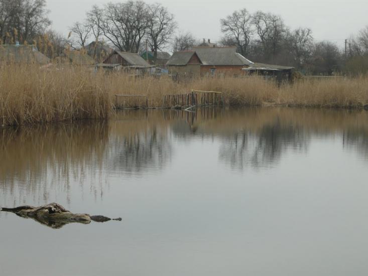Кустолово-Суходілка з panoramio.com - Кустолово-Суходілка