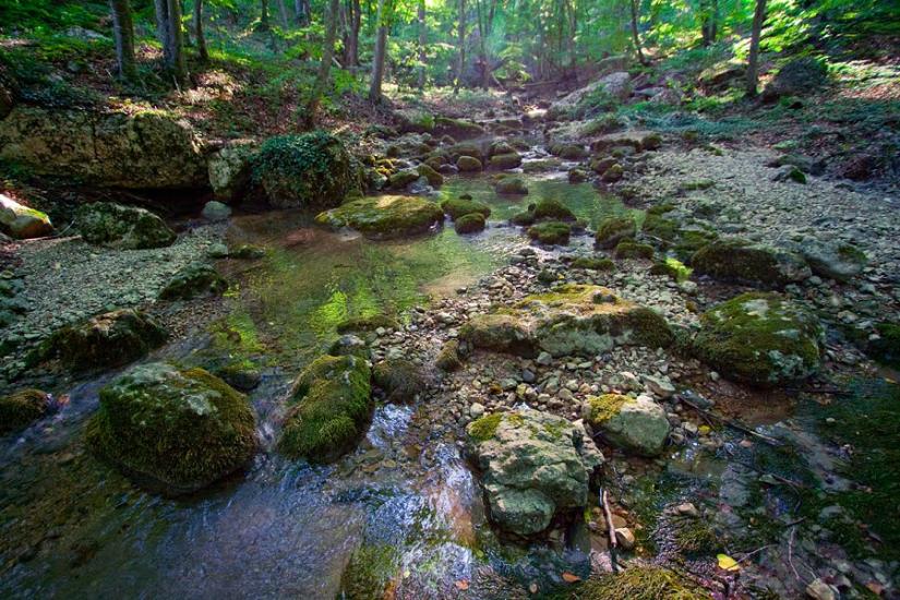 Овражки з panoramio.com - Овражки