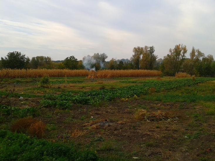 Устя з panoramio.com - Устя