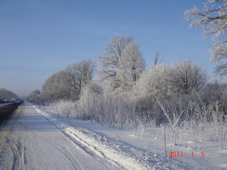 Буряки з panoramio.com - Buryaky