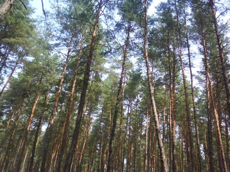 Охтирка з panoramio.com - Ахтырка