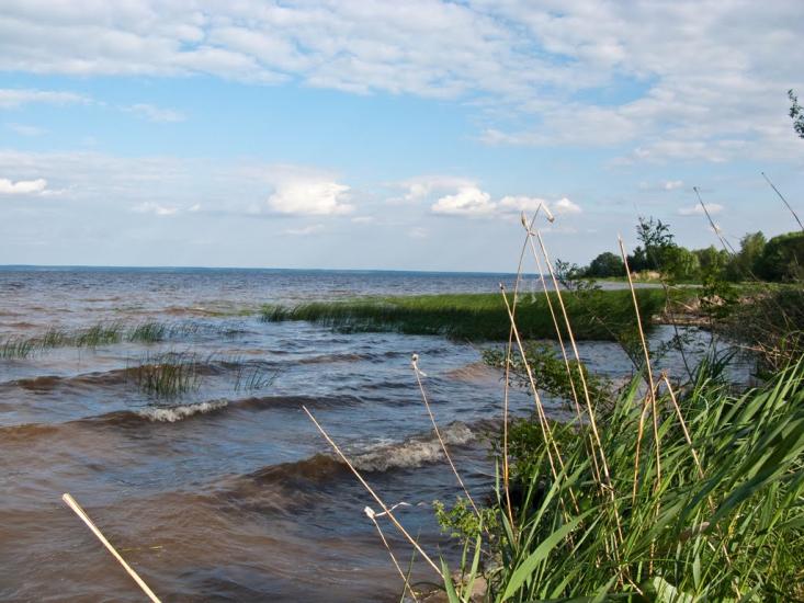 Луковиця з panoramio.com - Луковица