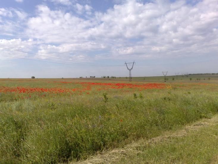 Дар'ївка з panoramio.com - Дарьевка