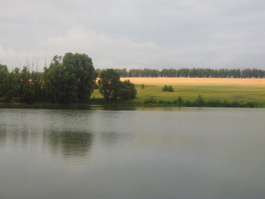 Печище з panoramio.com - Печище